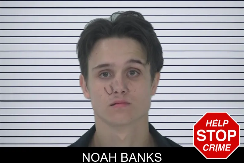 Noah Banks mugshot – Fayette County , Georgia Noah Banks mugshot