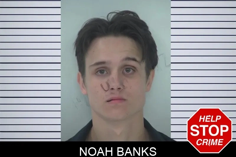 Noah Banks mugshot