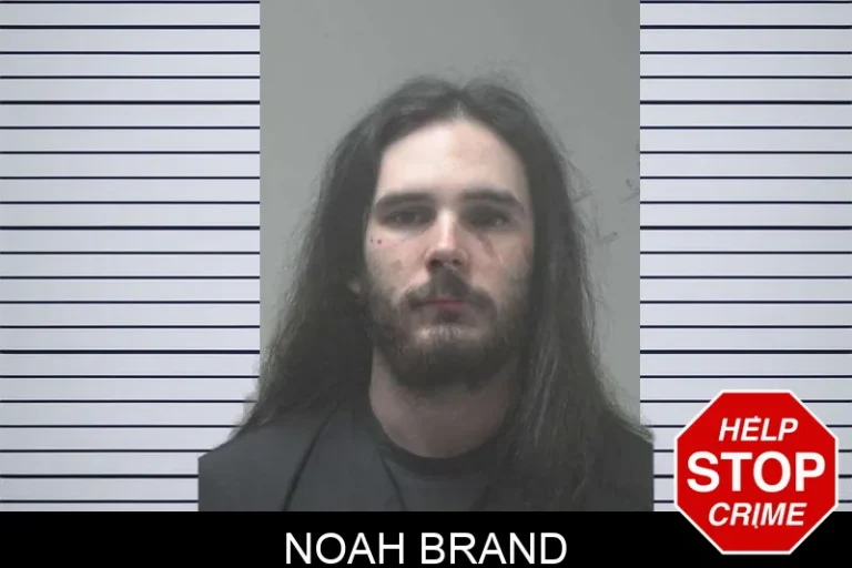 Noah Brand