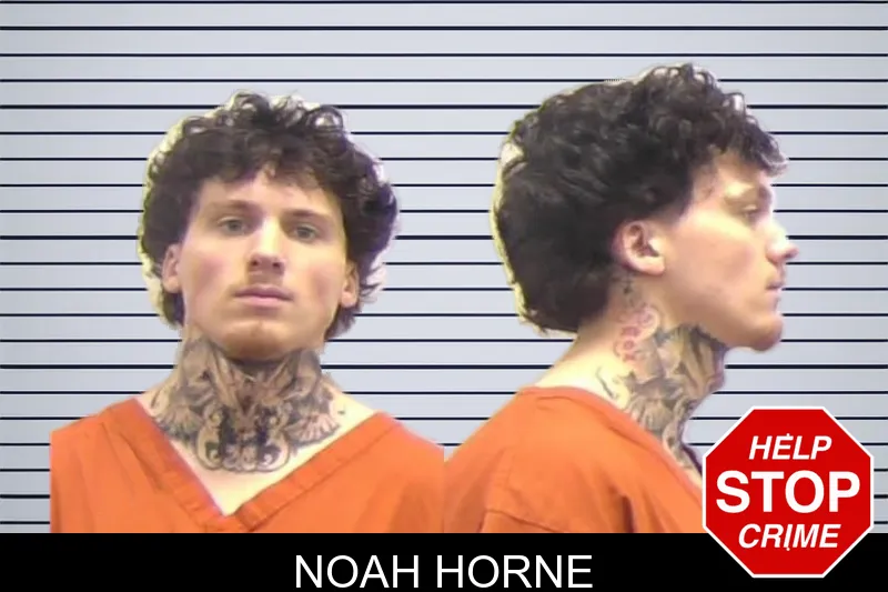 Noah Horne mugshot