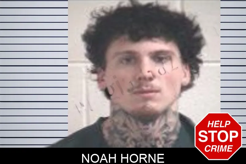 Noah Horne mugshot