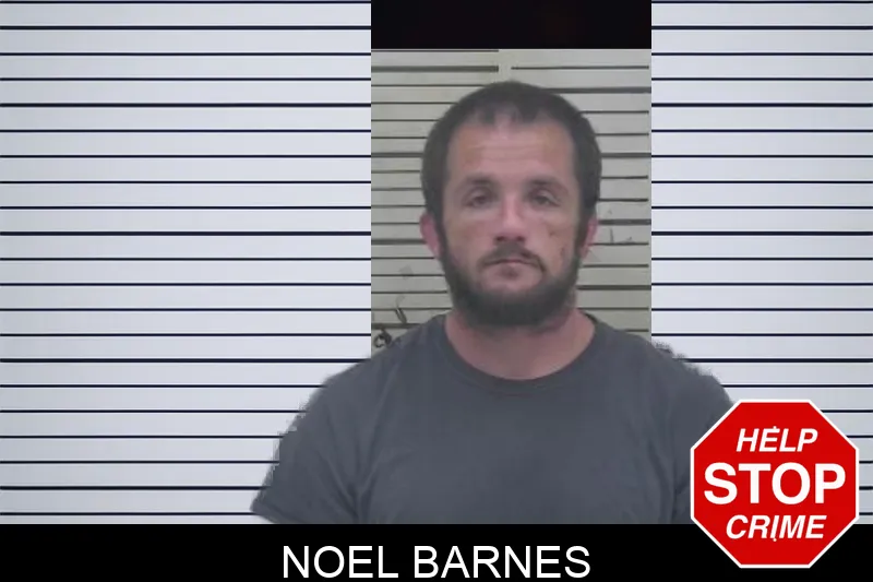 Noel Barnes mugshot – Coffee County , Georgia Noel Barnes mugshot