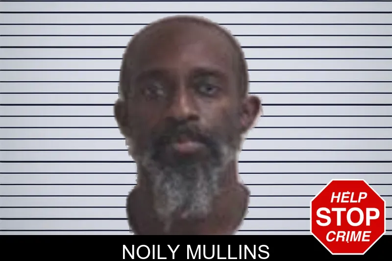 Noily Mullins mugshot – Henry County , Georgia Noily Mullins mugshot