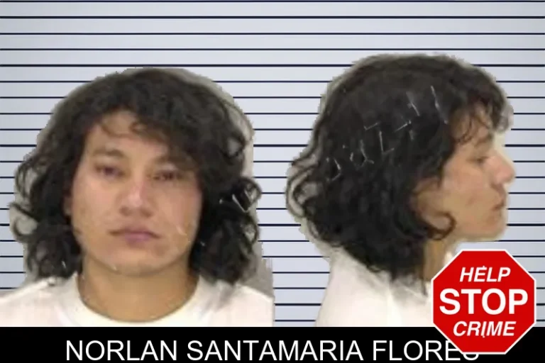 Norlan Santamaria Flores