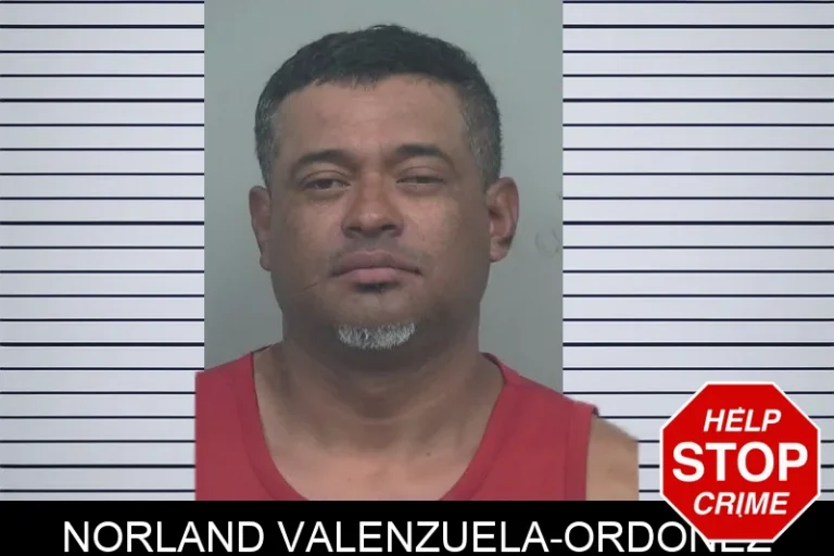 Norland Valenzuela-Ordonez