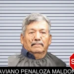 Octaviano Penaloza Maldonado mugshot – Forsyth County , Georgia Octaviano Penaloza Maldonado mugshot