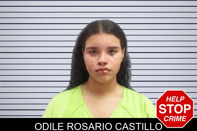 Odile Rosario Castillo mugshot – Lee County , Georgia Odile Rosario Castillo mugshot