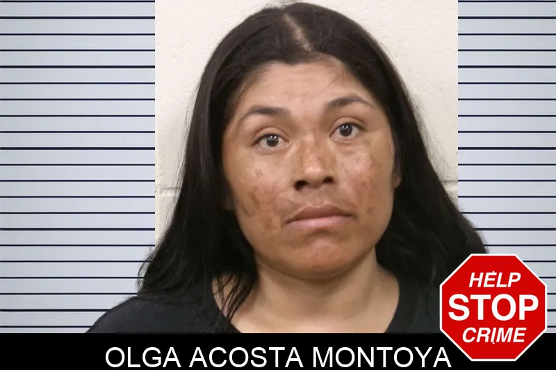 Olga Acosta Montoya mugshot – Bulloch County , Georgia Olga Acosta Montoya mugshot