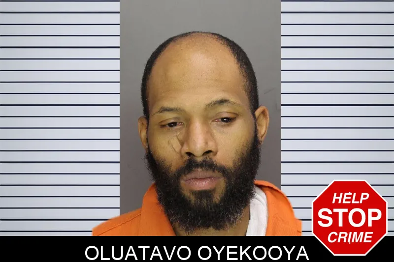 Oluatavo Oyekooya mugshot – Cobb County , Georgia Oluatavo Oyekooya mugshot