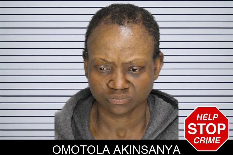 Omotola Akinsanya mugshot – Cobb County , Georgia Omotola Akinsanya mugshot