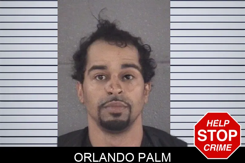 Orlando Palm mugshot – Spalding County , Georgia Orlando Palm mugshot