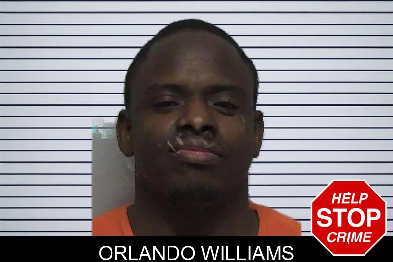 Orlando Williams mugshot