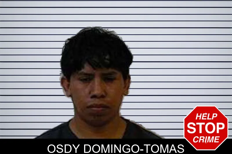 Osdy Domingo-Tomas mugshot