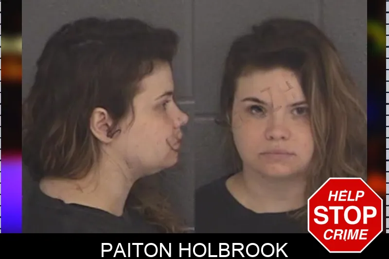 Paiton Holbrook mugshot