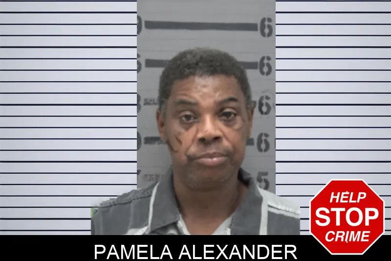 Pamela Alexander mugshot – Dougherty County , Georgia Pamela Alexander mugshot