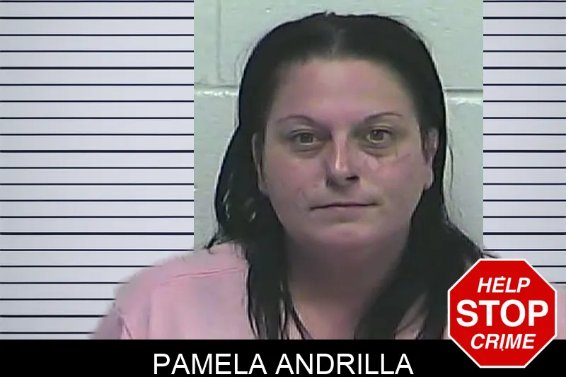 Pamela Andrilla mugshot