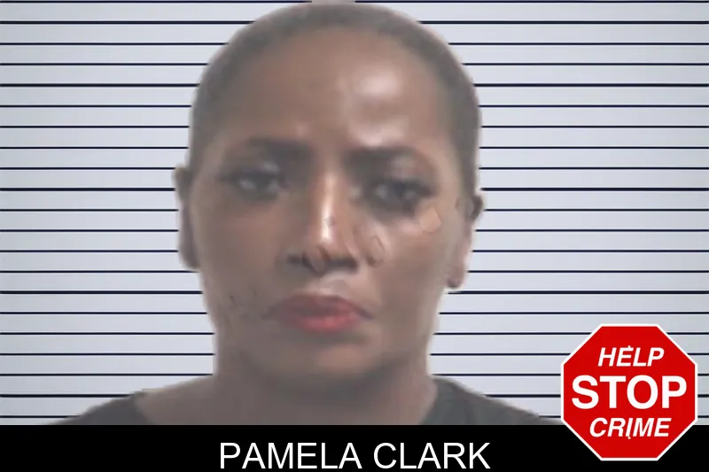 Pamela Clark mugshot