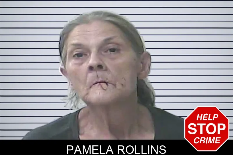 Pamela Rollins mugshot
