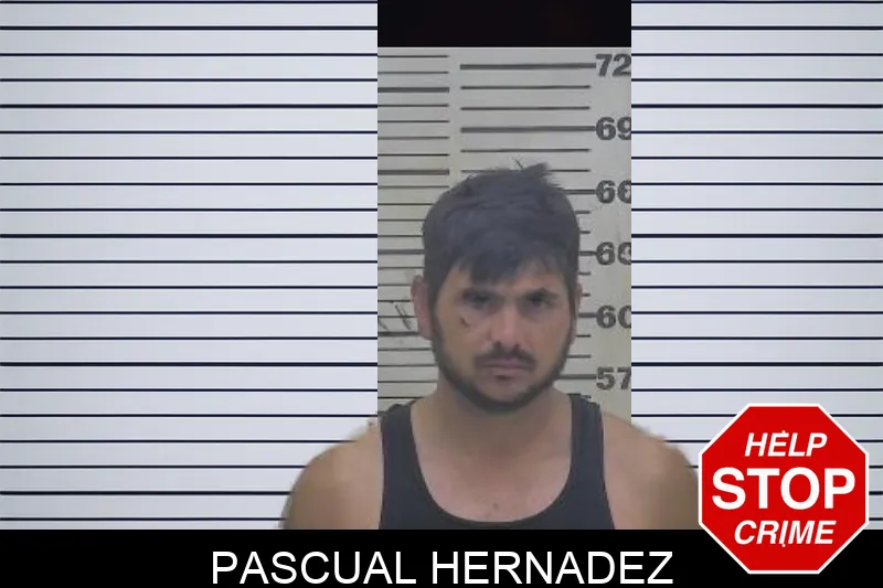 Pascual Hernadez mugshot