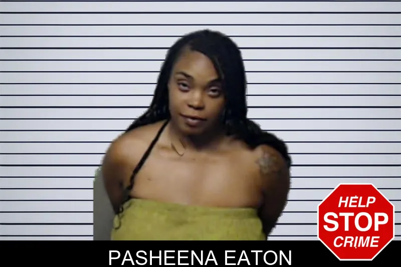 Pasheena Eaton mugshot – DeKalb County , Georgia Pasheena Eaton mugshot