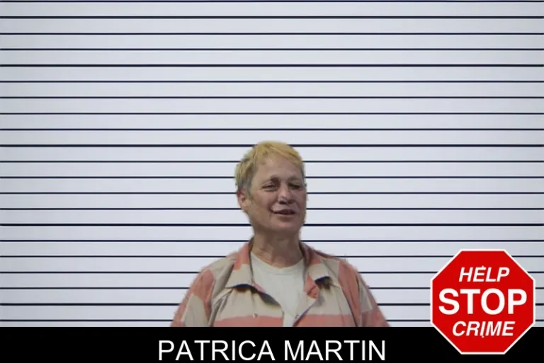 Patrica Martin mugshot – Stephens County , Georgia Patrica Martin