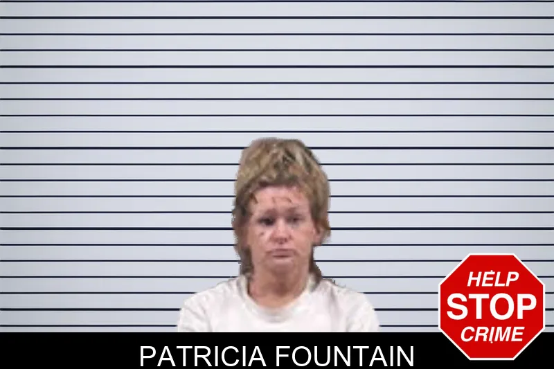 Patricia Fountain mugshot – Banks County , Georgia Patricia Fountain mugshot