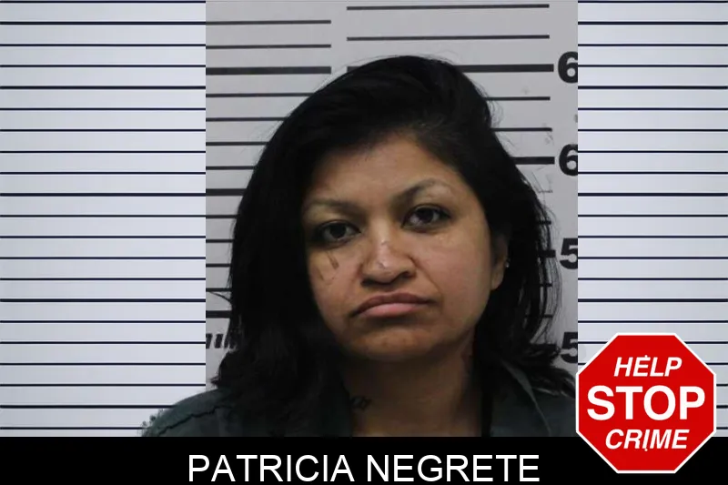 Patricia Negrete mugshot – Colquitt County , Georgia Patricia Negrete mugshot