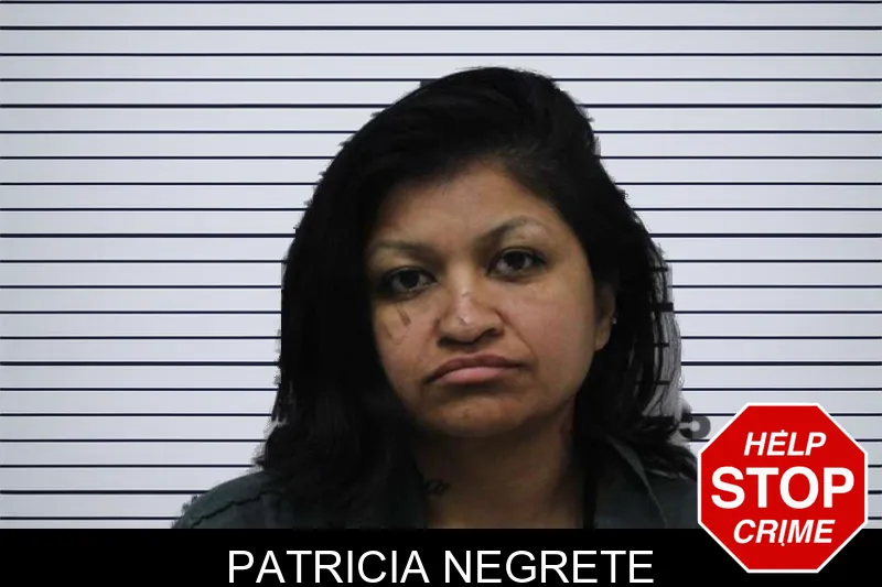 Patricia Negrete mugshot – Colquitt County , Georgia Patricia Negrete mugshot
