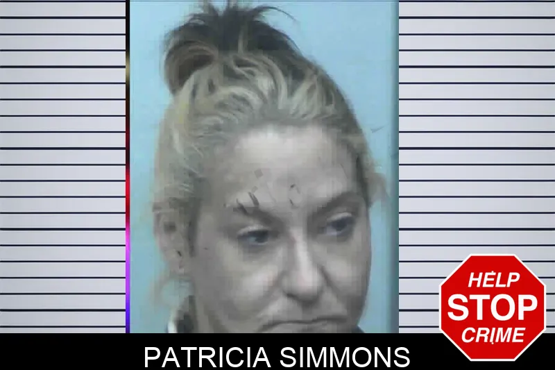 Patricia Simmons mugshot
