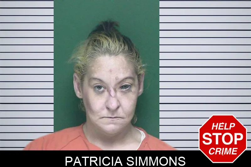 Patricia Simmons mugshot