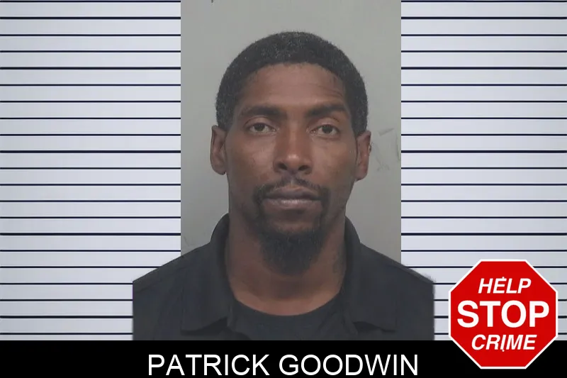 Patrick Goodwin mugshot