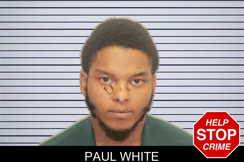 Paul White mugshot