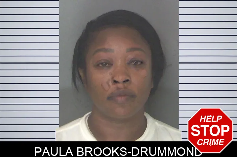 Paula Brooks-Drummond mugshot – Douglas County , Georgia Paula Brooks-Drummond mugshot