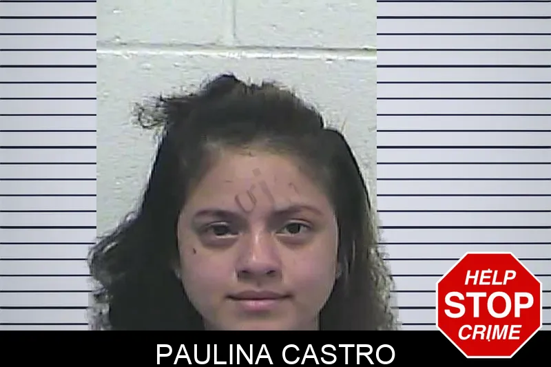 Paulina Castro mugshot – Dawson County , Georgia Paulina Castro mugshot