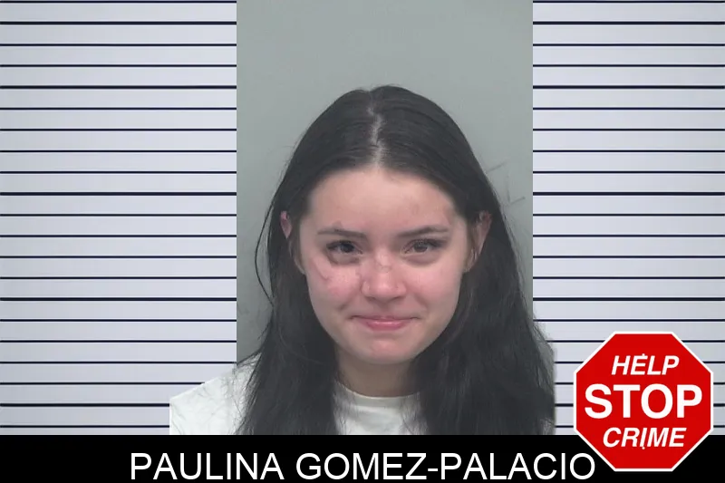 Paulina Gomez-Palacio mugshot