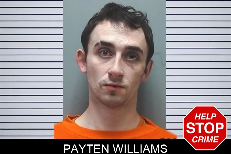 Payten Williams mugshot
