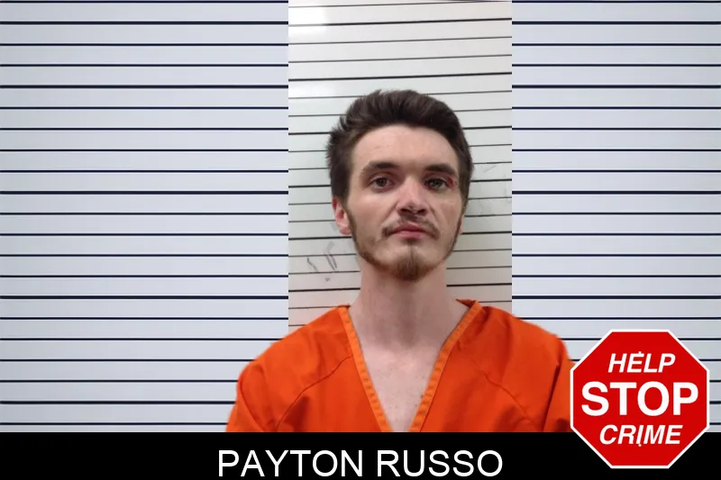 Payton Russo mugshot – Pickens County , Georgia Payton Russo mugshot
