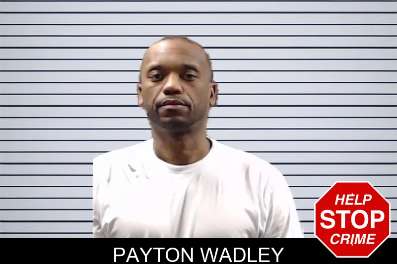 Payton Wadley mugshot – DeKalb County , Georgia Payton Wadley mugshot