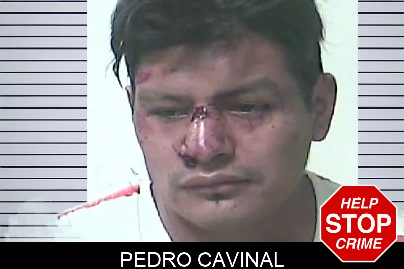 Pedro Cavinal mugshot