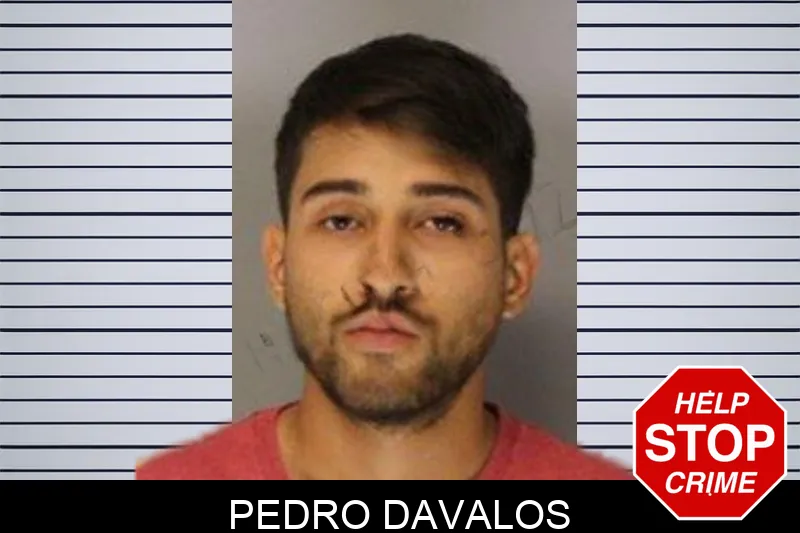 Pedro Davalos mugshot – Hall County , Georgia Pedro Davalos mugshot