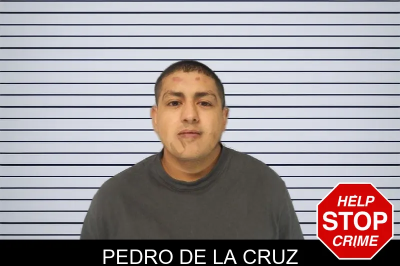 Pedro De La Cruz mugshot