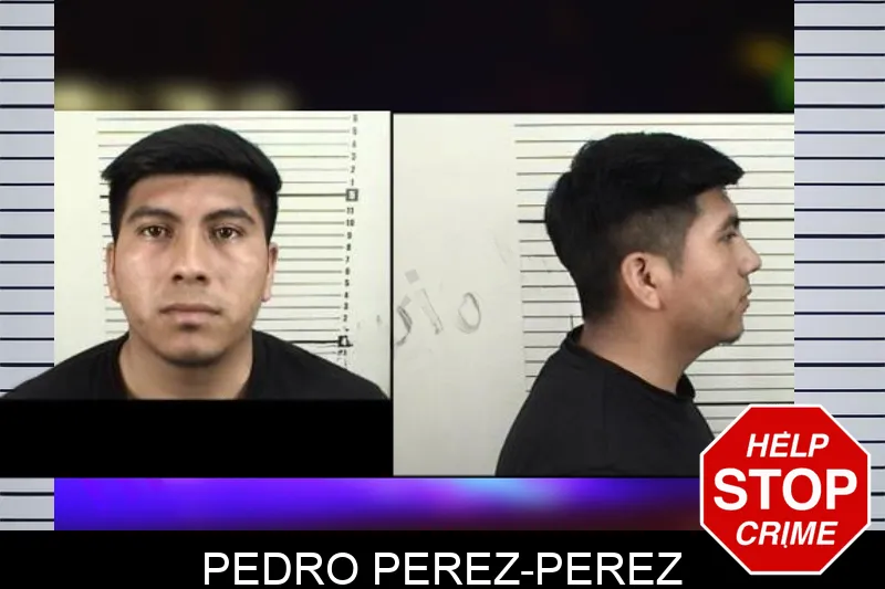 Pedro Perez-Perez mugshot – Camden County , Georgia Pedro Perez-Perez mugshot
