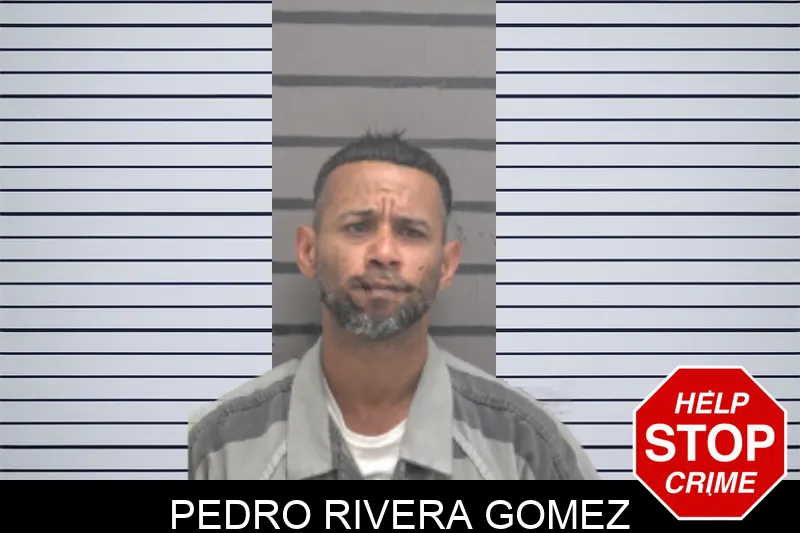 Pedro Rivera Gomez mugshot