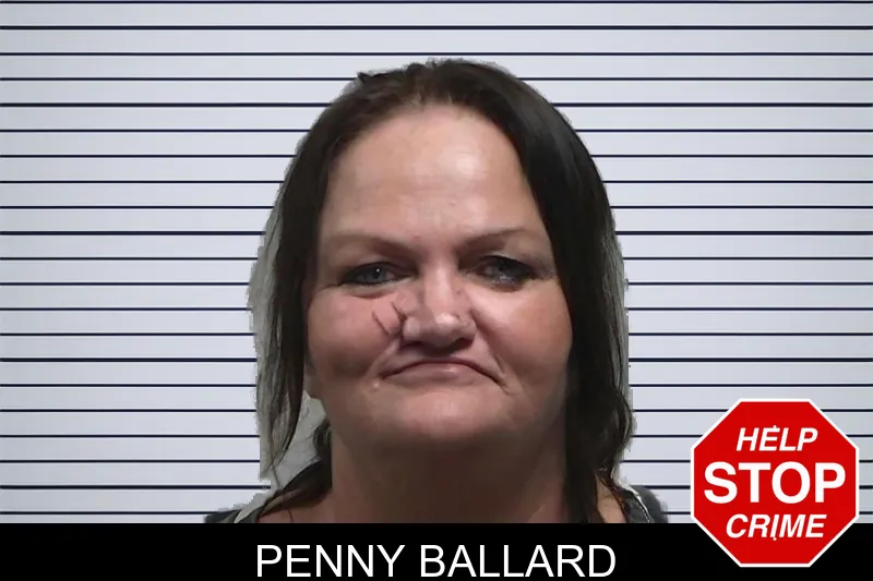 Penny Ballard mugshot – Tift County , Georgia Penny Ballard mugshot