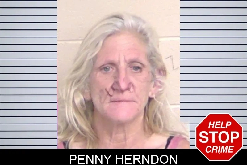 Penny Herndon mugshot