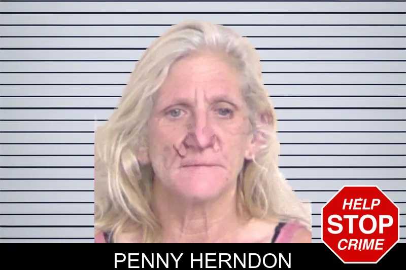 Penny Herndon mugshot