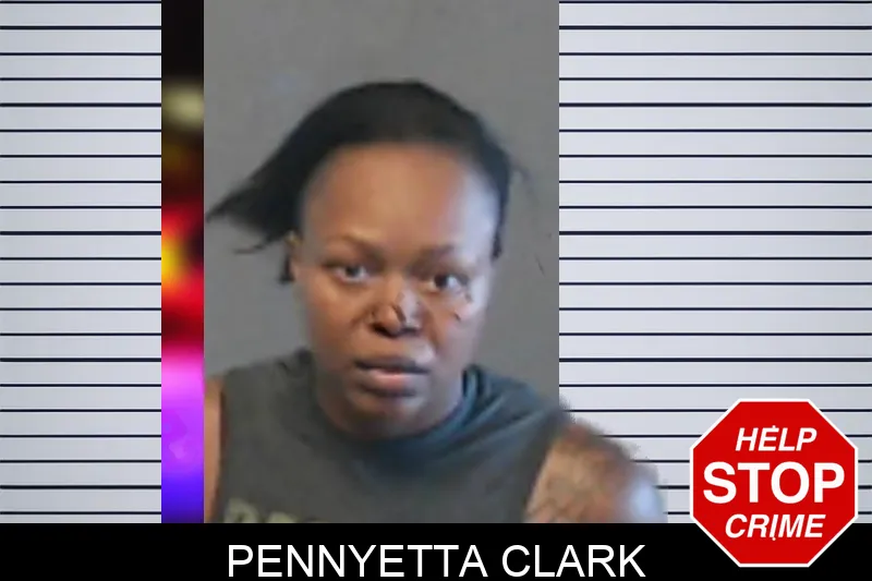 Pennyetta Clark mugshot