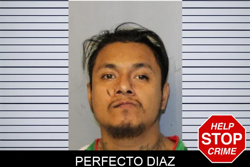 Perfecto Diaz mugshot