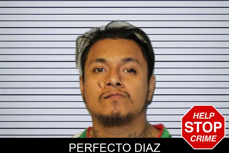 Perfecto Diaz mugshot