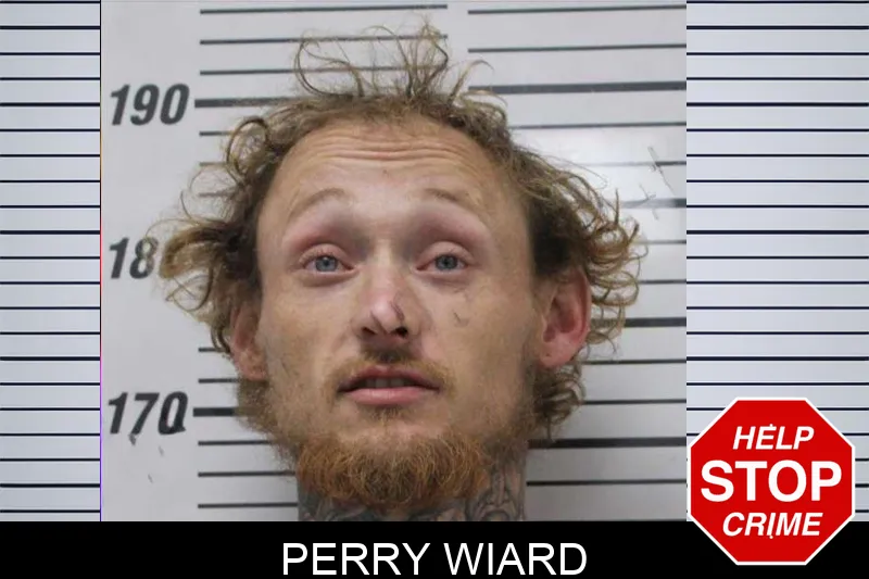 Perry Wiard mugshot